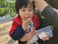 �t���[�c�K�[�f����܂����̎ʐ^1