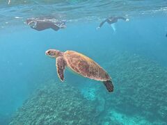 SHISHI�Ί_���̎ʐ^1