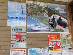 �L������̖k�C���C���Z���^�[�ւ̓��e�ʐ^1