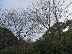 �Ԃ���񂳂�̓�����̍��ւ̓��e�ʐ^1