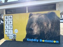 ���h�J�h���[�E�h�~�j�I���̎ʐ^1