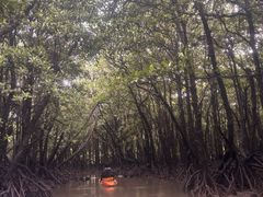 �I���I���Ί_���G�R�c�A�[�̎ʐ^1