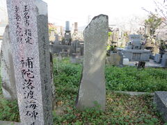 �Ԃ���񂳂�̕�ɗ��n�C��ւ̓��e�ʐ^1