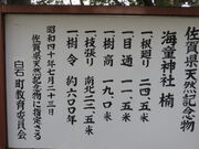 �Ԃ���񂳂�̊C���_�Ђ̃N�X�̓��e�ʐ^2