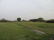 �Ԃ���񂳂�̒ˌ��Õ��Q�̓��e�ʐ^1