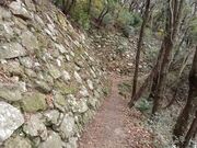 ������������̈��c��Ղ̓��e�ʐ^5