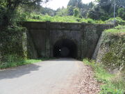 �Ԃ���񂳂�̋����~���Y�̓��e�ʐ^1