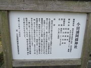 �Ԃ���񂳂�̏��c�Y���h�_�Ђ̓��e�ʐ^1