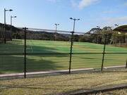 �Ԃ���񂳂�̓c�������̓��e�ʐ^2