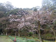 �Ԃ���񂳂�̑��v�����_�Ђ̓��e�ʐ^3