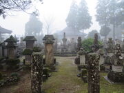 �Ԃ���񂳂�̐�̎��̓��e�ʐ^1