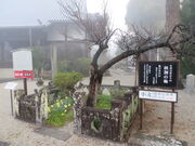 �Ԃ���񂳂�̐�̎��̓��e�ʐ^2