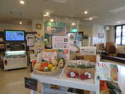 �L������̐芥�E���Â���ό�����̓��e�ʐ^1