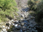 �Ԃ���񂳂�̑�J��̓��e�ʐ^1