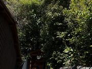 Yanwenli����̐����̒����݂̓��e�ʐ^2