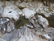 �Ԃ���񂳂�̐��k�J�i�啪���L����s�j�̓��e�ʐ^1