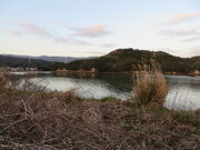 �Ԃ���񂳂�̈ɖ����p�̓��e�ʐ^1