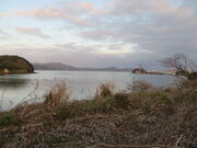 �Ԃ���񂳂�̈ɖ����p�̓��e�ʐ^2