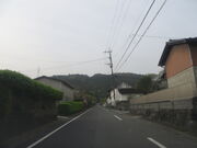 �Ԃ���񂳂�̊��R�i�،��R�j�̓��e�ʐ^1