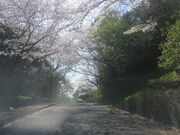 �Ԃ���񂳂�̎փP�J�����̍��̓��e�ʐ^1