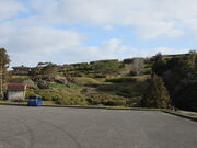 �Ԃ���񂳂�̕��˃c�c�W�̓��e�ʐ^2