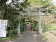 �Ԃ���񂳂�̕l�������{�̓��e�ʐ^1