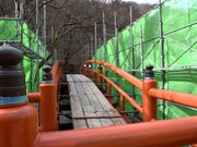 ���ʂ�����͎̉����̓��e�ʐ^1