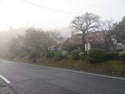 �Ԃ���񂳂�̐��k�����̃c�c�W�E���̓��e�ʐ^1