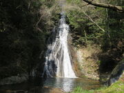 �Ԃ���񂳂�̏�����̑�̓��e�ʐ^2