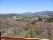 �Ԃ���񂳂�̍����勴�̓��e�ʐ^1