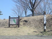 �Ԃ���񂳂�̌܃��������̓��e�ʐ^1