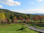 �L������̃G������������w�������x�̓��e�ʐ^2