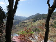 �Ԃ���񂳂�̖g�_�Ђ̓��e�ʐ^1