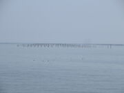 �Ԃ���񂳂�̂̂�{�B�̓��e�ʐ^2