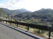 �Ԃ���񂳂�̈����x�̓��e�ʐ^1