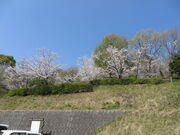 �Ԃ���񂳂�̎փP�J�����̓��e�ʐ^1