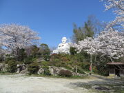 �Ԃ���񂳂�̍r����t�̓��e�ʐ^1