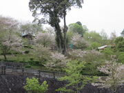 �Ԃ���񂳂�̗��k�����̓��e�ʐ^1