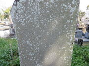 �Ԃ���񂳂�̕�ɗ��n�C��̓��e�ʐ^1