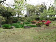 �Ԃ���񂳂�̏���_�В뉀�̓��e�ʐ^1