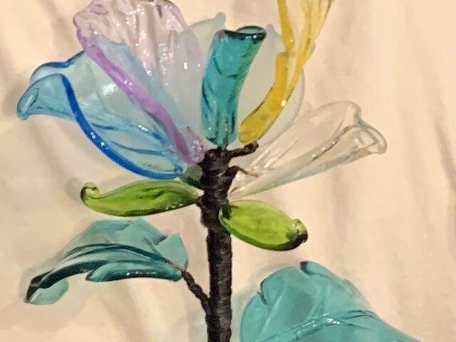 �`���[���b�v����肽������_�r�[�Y�����f�U�C�������� colore labo