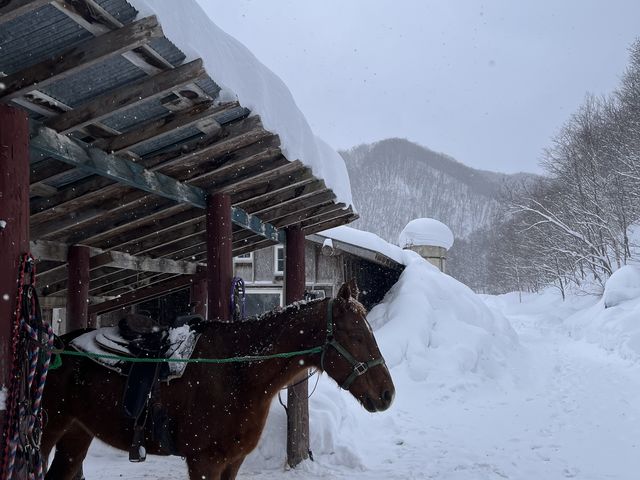 ��R������܂��B_�t���z�[�X�����`