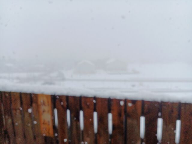 ����I�V���C����́@�Z�����̐�i�F���R�U�O���@�y���߂܂��B
�ʐ^�͘Z�����w����_�قĂ�؂̉��