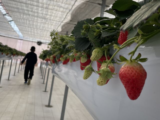 ������������������_�J�E�x����������