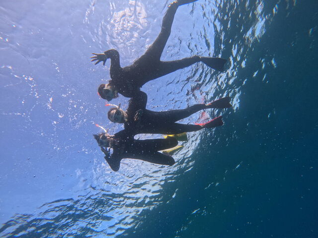 �X�^�b�t���񂪎B���Ă���܂���_�Ί_����������V�[�T�[