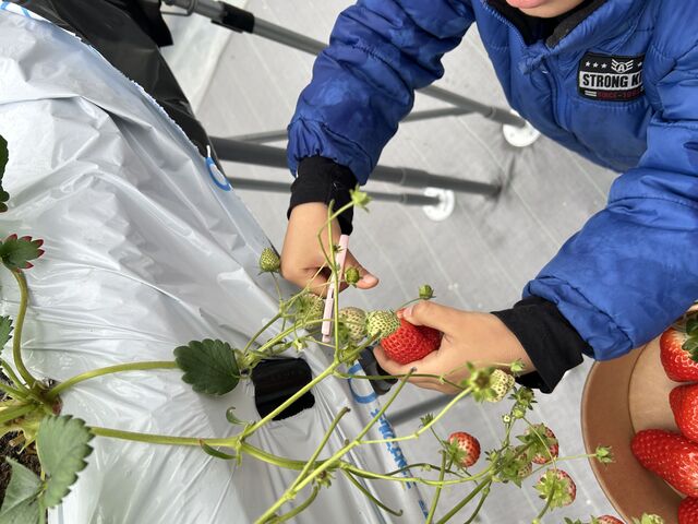 �n�T�~�ł��������_Green Room