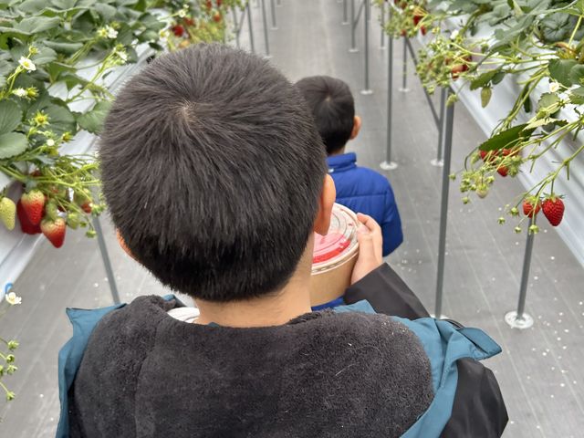 �r�j�[���n�E�X�̉��ɂ���e�[�u���Ɉړ���_Green Room