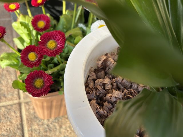 �h���ɂ��𗧂��Ă܂��B_����