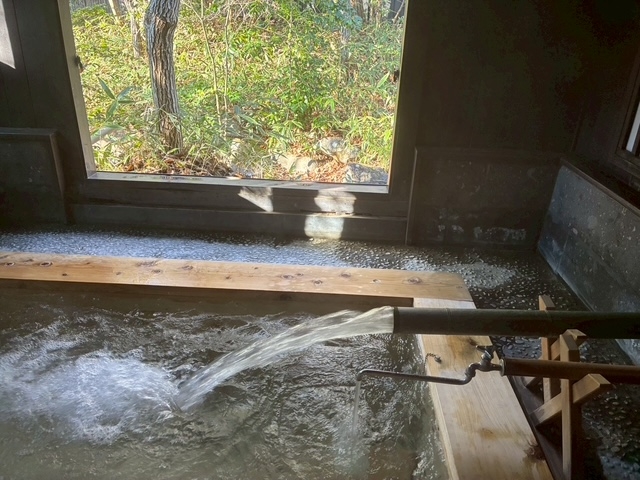 �h�o�h�o�̌��򂪓�������܂�_�V�珼�@�T��