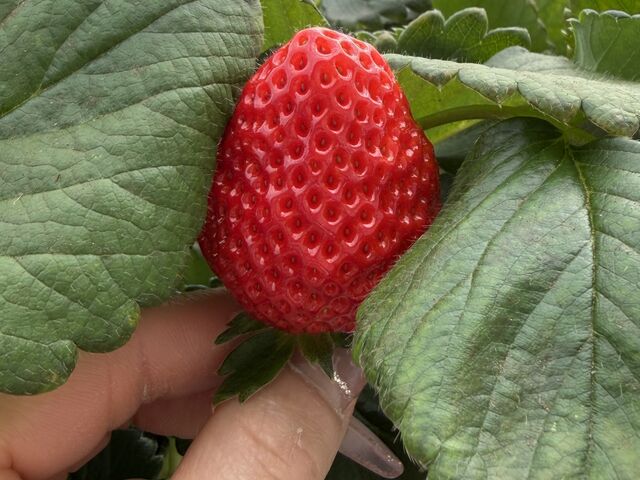 �g�ق���_�z���܂�_��